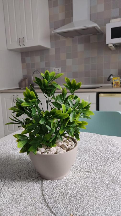 Apartament Guimar New Style, Tu Nueva Eleccion Kordoba Zewnętrze zdjęcie